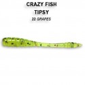 CRAZY FISH Tipsy 2inch 9-50-22-4