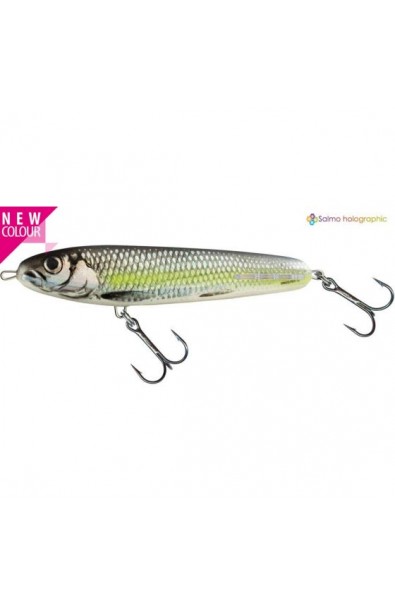 SALMO Sweeper 10cm 19 gr SCS Sinking