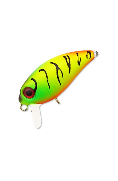 KOSADAKA Roger Surf TT