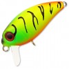 KOSADAKA Roger Surf TT
