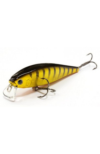 LUCKY CRAFT Pointer 100SSR Floating DPT 0.0m Weight 15gr Tiger Perch 806 TGPC