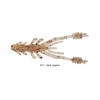 REINS Ring Shrimp 3 inch Color 321 Gold Legend Part 2