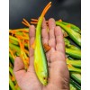 ANGRY Bleak V-Tail 20 GYO Lenght 20cm Weight 27gr CB2-200-VT-GYO