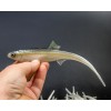 ANGRY Bleak V-Tail 20 GYO Lenght 20cm Weight 27gr CB2-200-VT-WGY